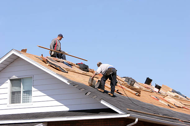 Best Metal Roofing Installation  in Los Alamitos, CA